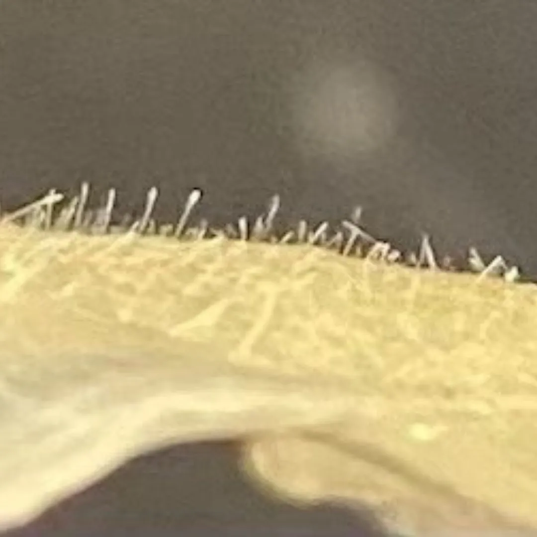 以前出会って虜になった、マツヤニWax🩷🩷🩷